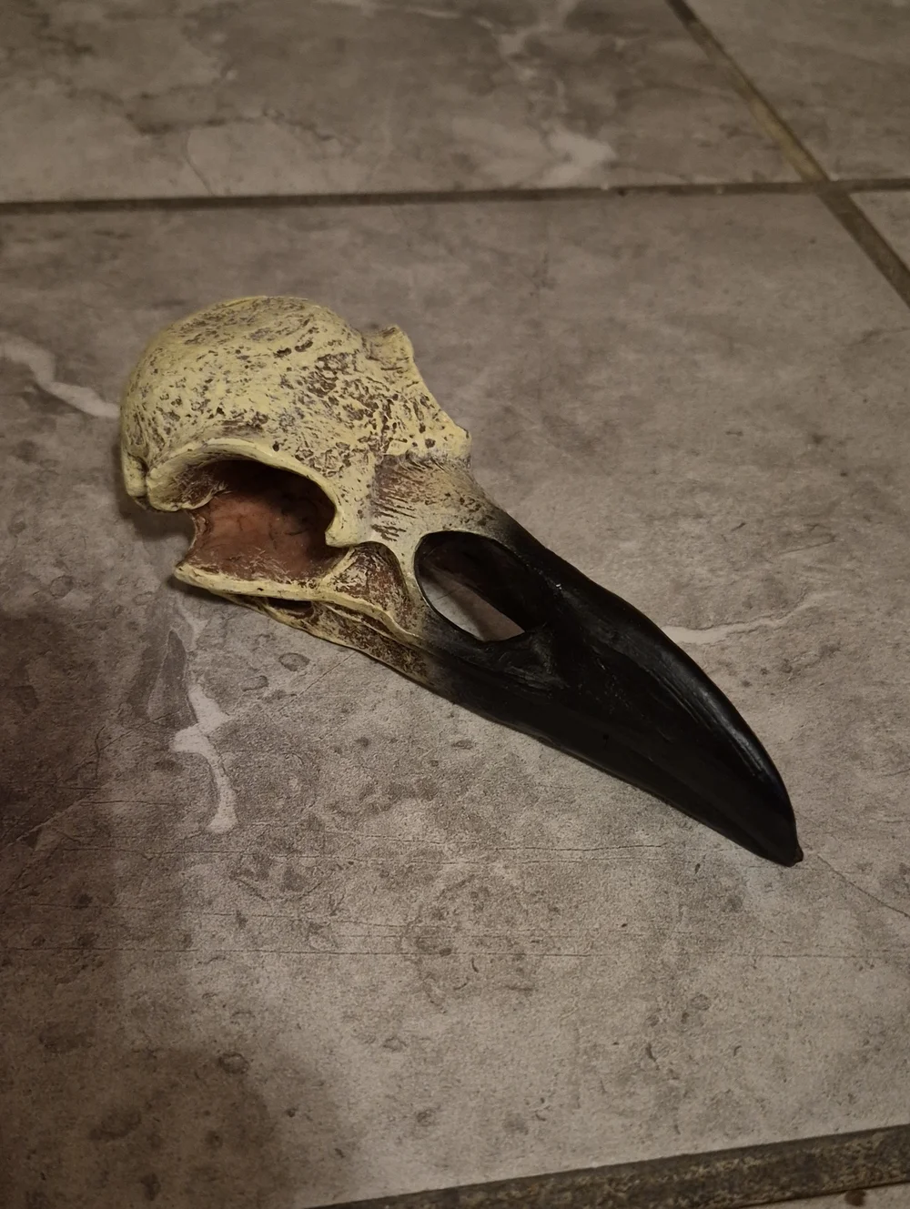 Decorative Raven Skull Prop Resin